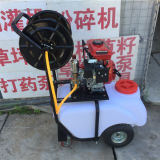 上海園林打藥泵，100L打藥泵，汽油打藥機(jī)