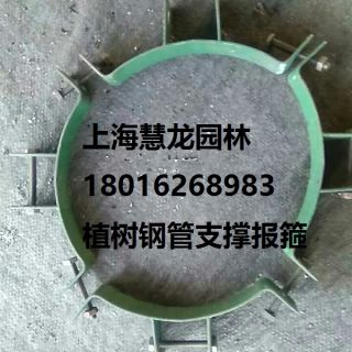 大樹報(bào)箍，植樹支撐報(bào)箍，鋼支撐報(bào)箍
