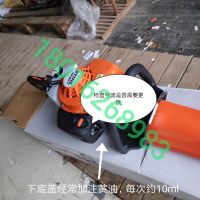 上海浦東，綠化割草，修剪旺季，注意綠籬機(jī)，草坪機(jī)，割灌機(jī) 日常保養(yǎng)